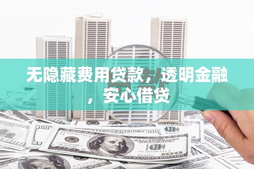 新河无隐藏费用贷款，透明金融，安心借贷
