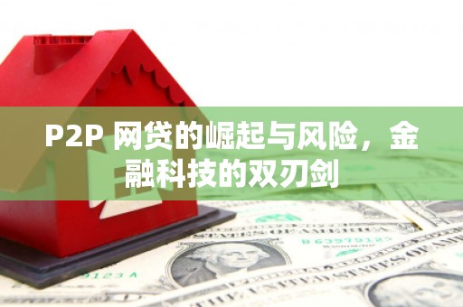 新河P2P 网贷的崛起与风险，金融科技的双刃剑
