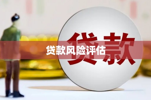 新河贷款风险评估