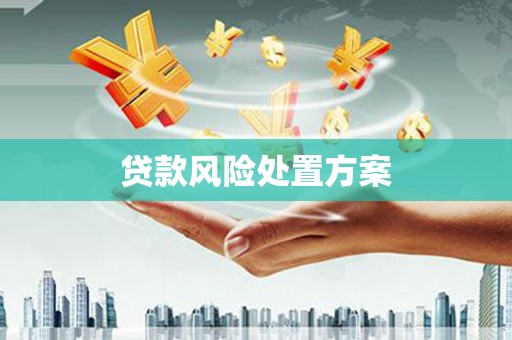新河贷款风险处置方案