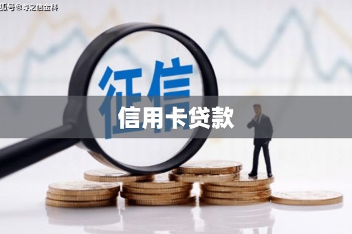 新河信用卡贷款