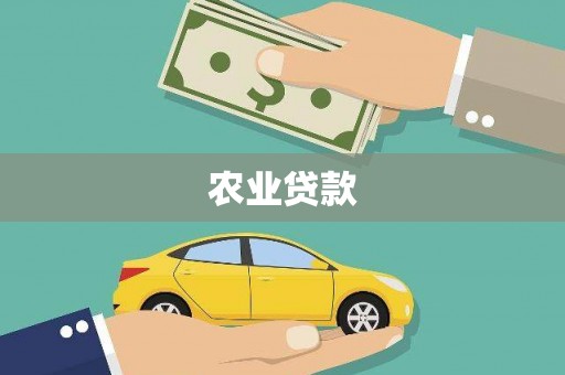 新河农业贷款