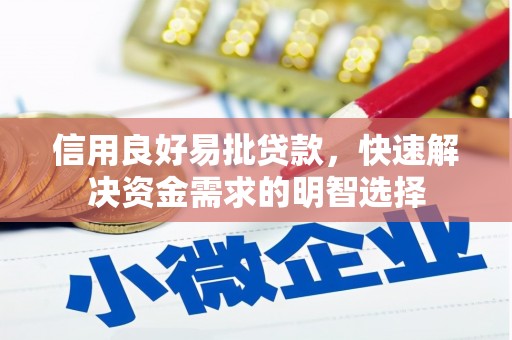 新河信用良好易批贷款，快速解决资金需求的明智选择