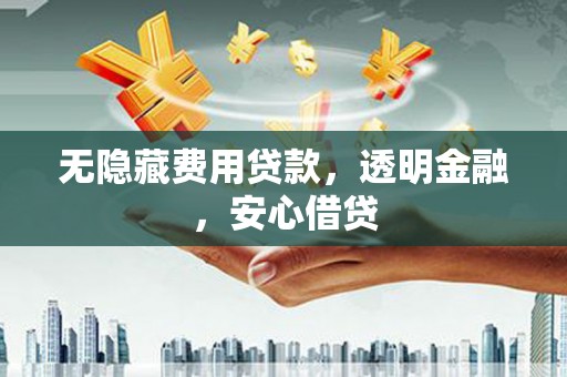 新河无隐藏费用贷款，透明金融，安心借贷