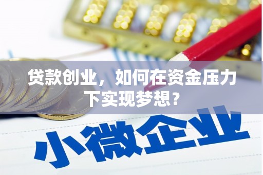 新河贷款创业，如何在资金压力下实现梦想？
