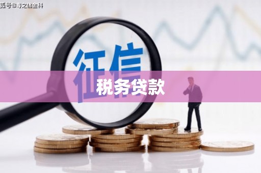 新河税务贷款