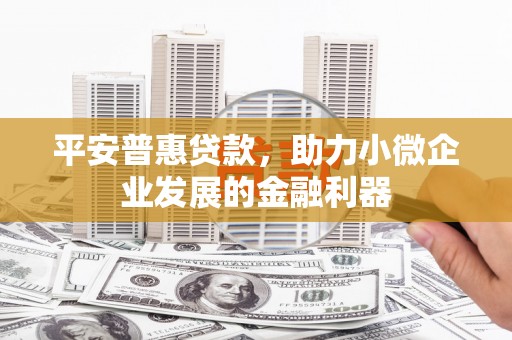 新河平安普惠贷款，助力小微企业发展的金融利器