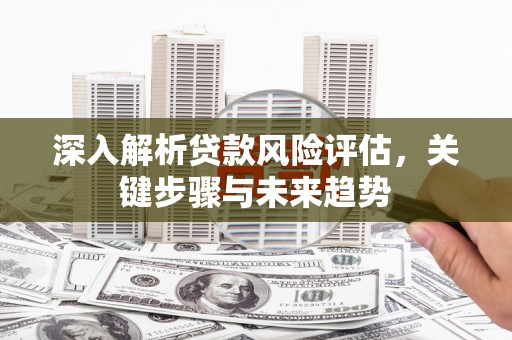 新河深入解析贷款风险评估，关键步骤与未来趋势