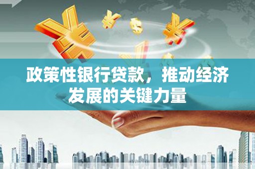 新河政策性银行贷款，推动经济发展的关键力量