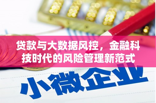 新河贷款与大数据风控，金融科技时代的风险管理新范式