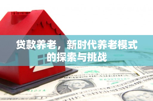 新河贷款养老，新时代养老模式的探索与挑战