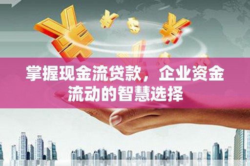新河掌握现金流贷款，企业资金流动的智慧选择