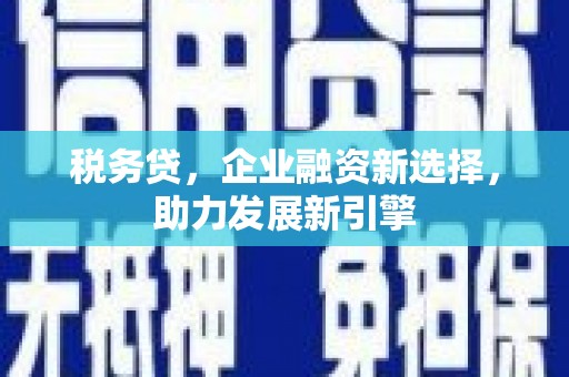 新河税务贷，企业融资新选择，助力发展新引擎