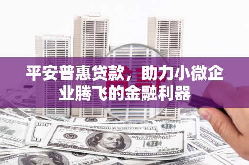 新河平安普惠贷款，助力小微企业腾飞的金融利器