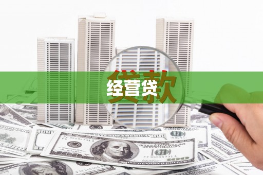 新河经营贷