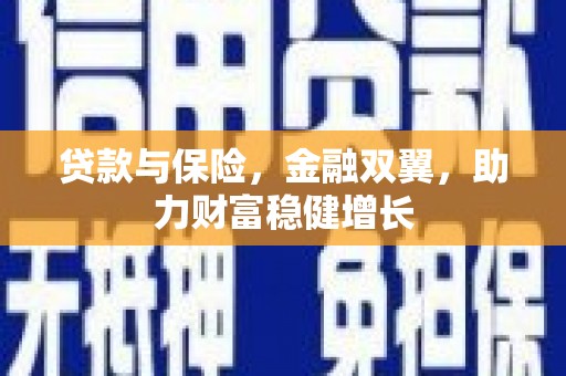 新河贷款与保险，金融双翼，助力财富稳健增长