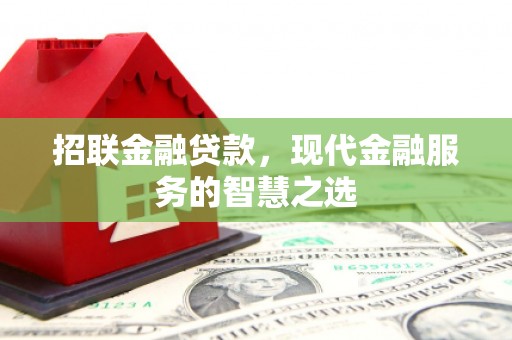新河招联金融贷款，现代金融服务的智慧之选