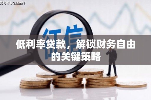 新河低利率贷款，解锁财务自由的关键策略