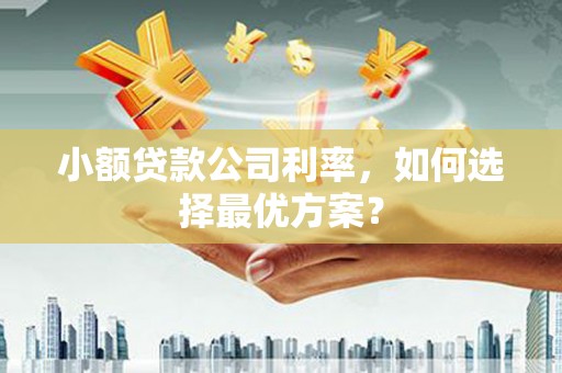 新河小额贷款公司利率，如何选择最优方案？