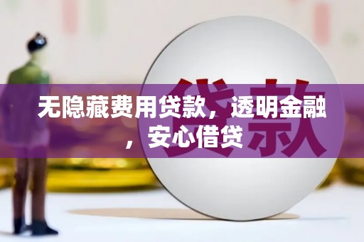 新河无隐藏费用贷款，透明金融，安心借贷