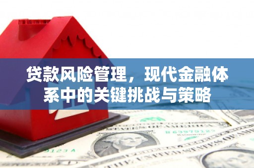 新河贷款风险管理，现代金融体系中的关键挑战与策略