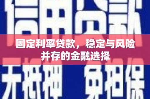 新河固定利率贷款，稳定与风险并存的金融选择