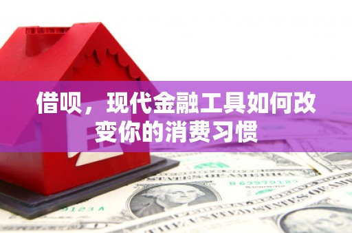 新河借呗，现代金融工具如何改变你的消费习惯