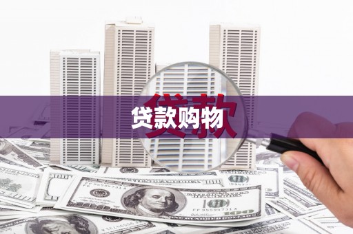新河贷款购物