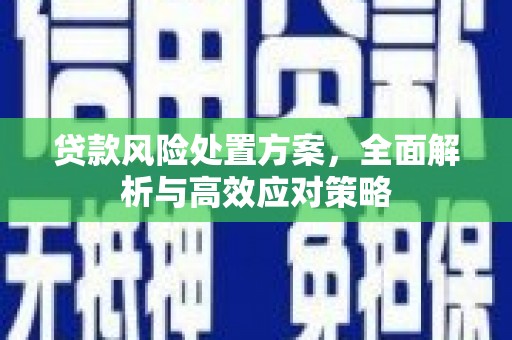 新河贷款风险处置方案，全面解析与高效应对策略