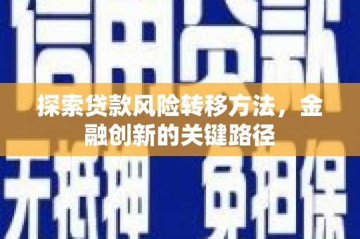新河探索贷款风险转移方法，金融创新的关键路径