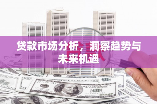 新河贷款市场分析，洞察趋势与未来机遇