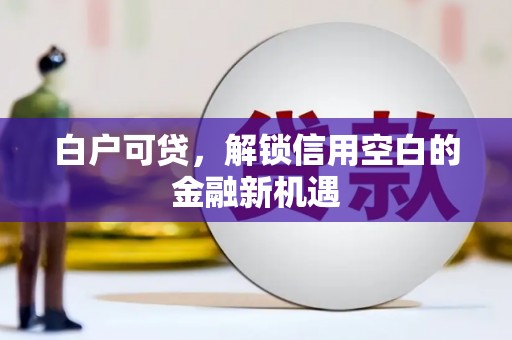 新河白户可贷，解锁信用空白的金融新机遇