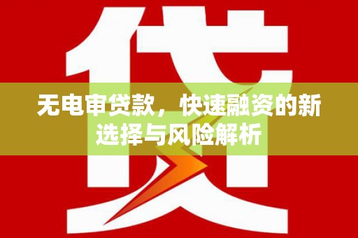 新河无电审贷款，快速融资的新选择与风险解析