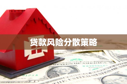 新河贷款风险分散策略