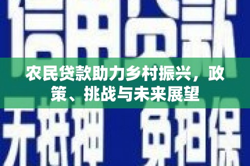 新河农民贷款助力乡村振兴，政策、挑战与未来展望