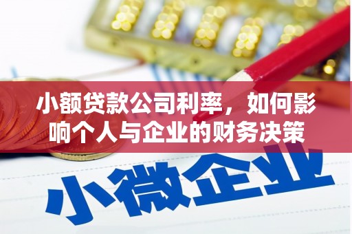 新河小额贷款公司利率，如何影响个人与企业的财务决策