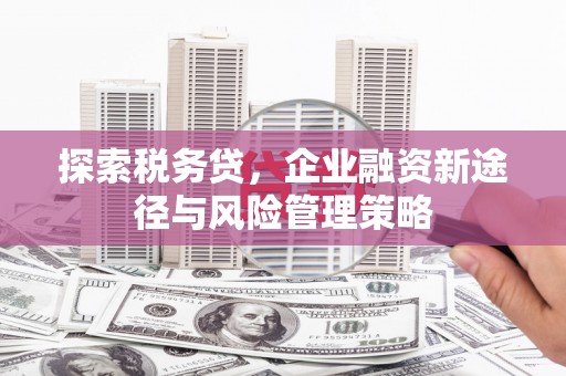 新河探索税务贷，企业融资新途径与风险管理策略