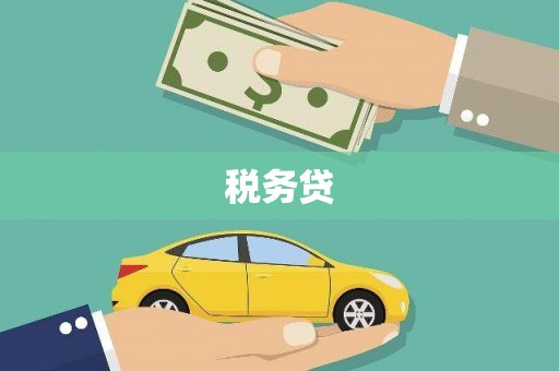 新河税务贷