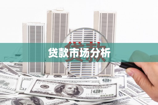 新河贷款市场分析
