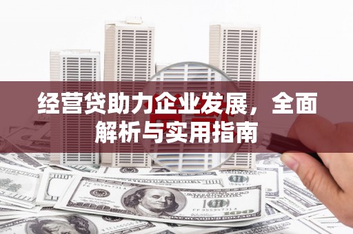 新河经营贷助力企业发展，全面解析与实用指南