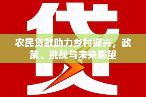 新河农民贷款助力乡村振兴，政策、挑战与未来展望