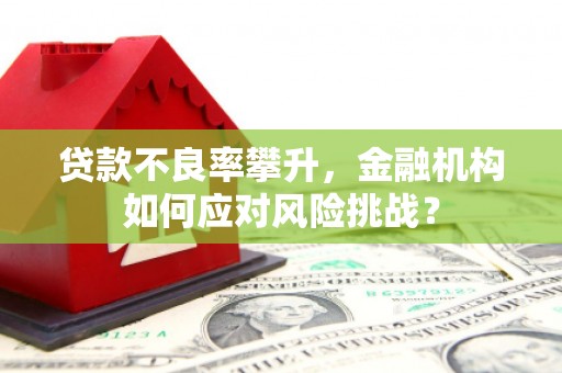 新河贷款不良率攀升，金融机构如何应对风险挑战？