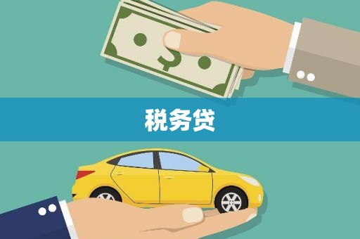 新河税务贷