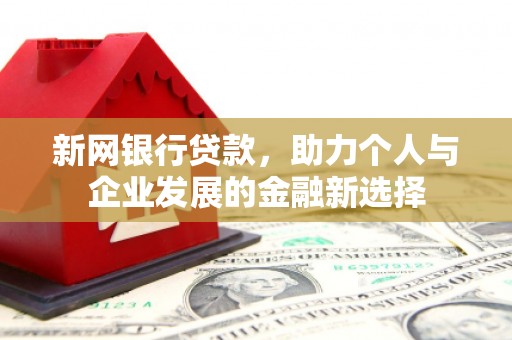 新河新网银行贷款，助力个人与企业发展的金融新选择