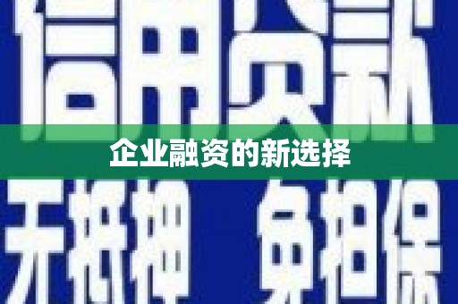新河企业融资的新选择