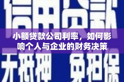 新河小额贷款公司利率，如何影响个人与企业的财务决策