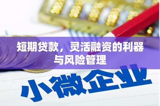 新河短期贷款，灵活融资的利器与风险管理