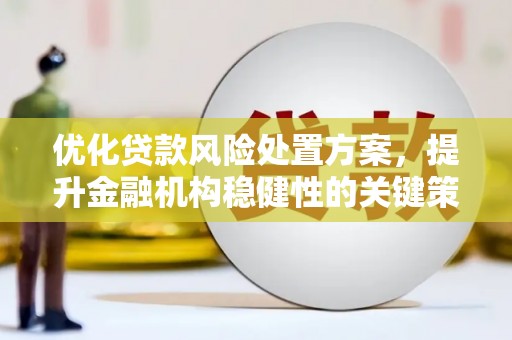 新河优化贷款风险处置方案，提升金融机构稳健性的关键策略