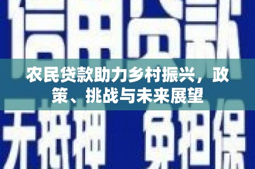 新河农民贷款助力乡村振兴，政策、挑战与未来展望