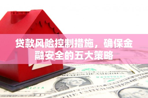 新河贷款风险控制措施，确保金融安全的五大策略